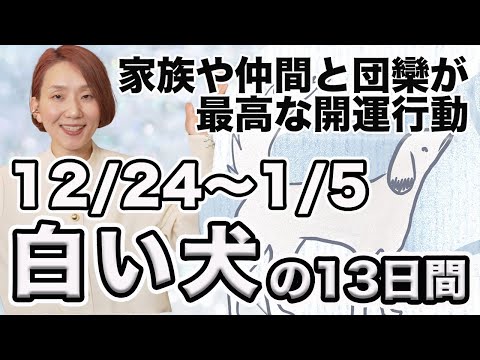 マヤ暦は見るだけで開運！「白い信念の犬」の13日間（12/24〜1/5）家族と団欒で大開運🌈 年末年始にぴったりの幸運エネルギーが降り注ぐ✨【マヤ暦 diary】