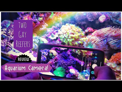 Two Gay Reefers Review Aquarium Camera!