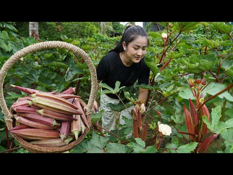 Yummy Red Okra cooking - Yummy red okra recipe - Amazing cooking video