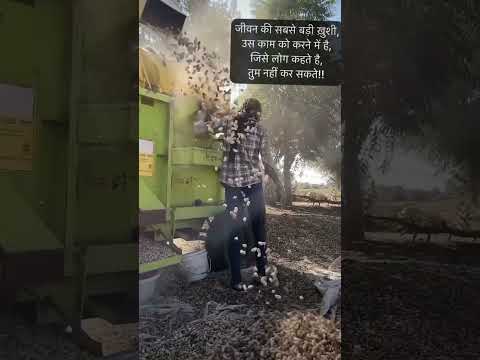 सबने कहा तुमसे नहीं होगा, पर हमने कर दिखाया🥜🕊️💯100#farmvlog07 #peanutfarm #harvesting #kisan#f