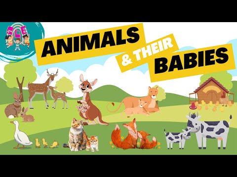 Animals and Their Babies for Kids Learning | Educational Video for Kids, Toddler and Pre-school