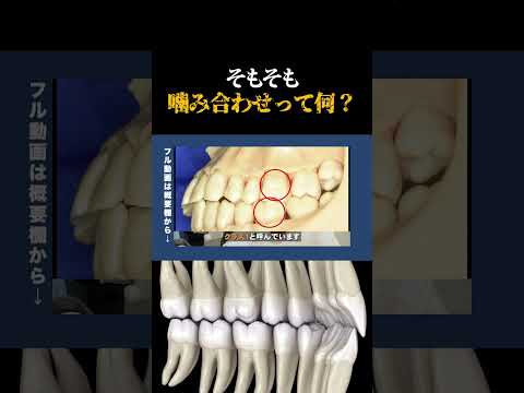 【#歯科医師 が語る】良い噛み合わせ・安定した噛み合わせとは？ -西国分寺レガデンタルクリニック