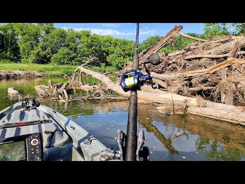 BIG FISH Live In HUGE BRUSHPILES!! (& Kayak Walkthrough)