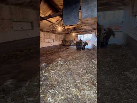 Cleaning out the barn! #farming #farmer #fypage #fypシ゚ #fypviral #fyp #fypyoutube #fyptiktok #fypp