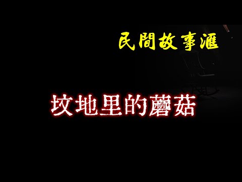 【民间故事】坟地里的蘑菇 | 民间奇闻怪事、灵异故事、鬼故事、恐怖故事