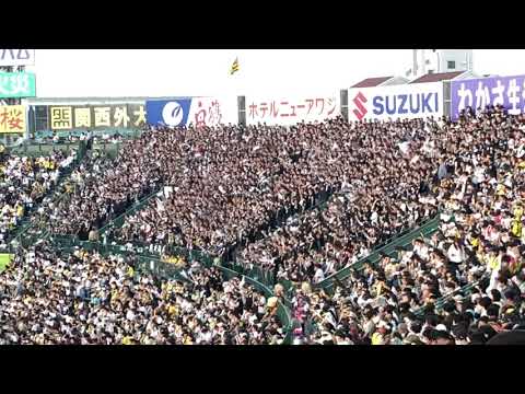 【カッコいい】白黒の男達〜藤岡裕大の応援歌 サッカーのような千葉ロッテ甲子園での応援 2023