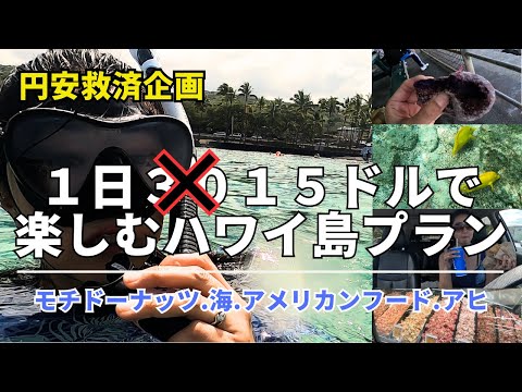 【円安救済企画】ハワイ島水族館みたいな海でお魚みて、グルメも満喫お一人様１５ドルのプラン！これで夏休みのプランは決まり！