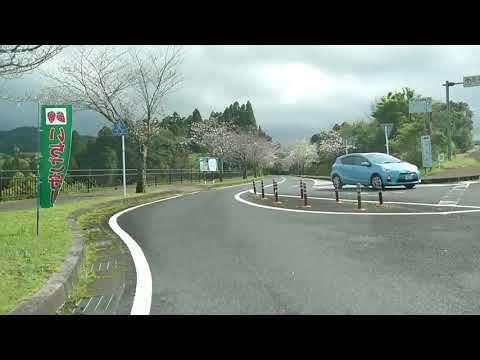 吾平山陵までお花見