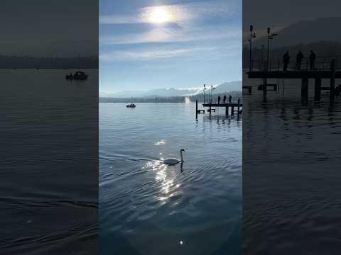 Experience Stunning Autumn LIGHT on Lake Zurich!