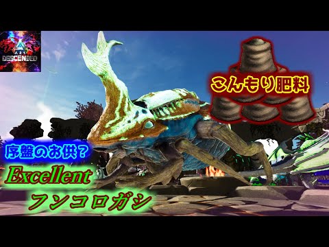 【MOD】序盤に簡単テイムできるExcellentな巨大虫「Excellent フンコロガシ」【ARK:Survival Ascended】【ARK:Decended】