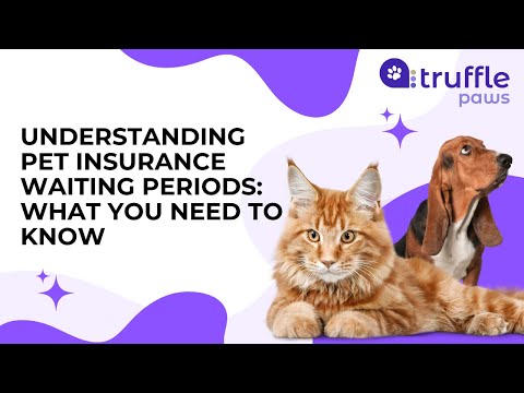 🐾Understanding Pet Insurance Waiting Periods: What You Need to Know⏳