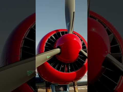 Formation Aerobatics in a Soviet Yak-50