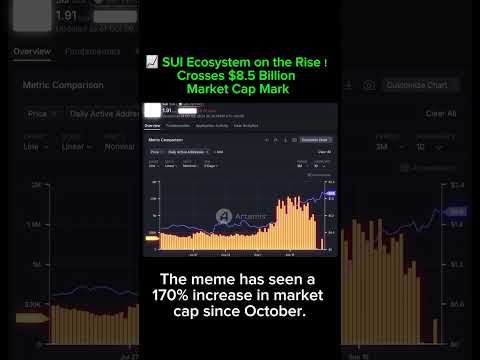 😎 Next SOL-SUI network outliers? Take Advance Opportunities... #crypto #bitcoin #trading #shorts