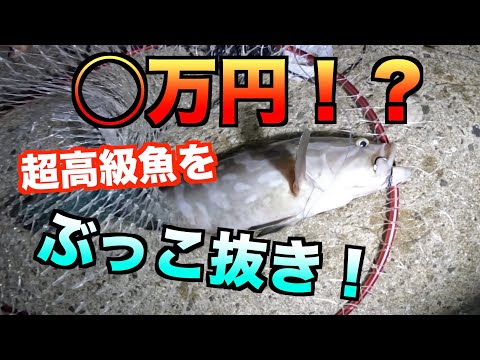 【驚愕！！】夏の夜のぶっ込み釣り！