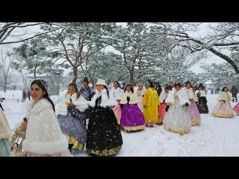 Snowfall SEOUL GYEONGBOKGUNG Palace, Jan 5, 2025 Heavy Snow Seoul, Snow Asmr, Seoul Travel Walker.