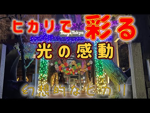 『牛嶋神社』竹を使った幻想的なイルミネーションが歴史ある神社を彩る