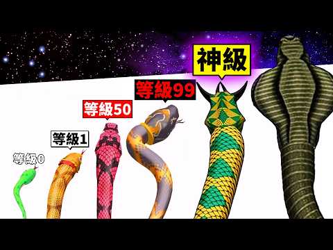 從超爛小蛇進化成最強神級巨蛇的成長遊戲！【Snake Evolution Run 3D】