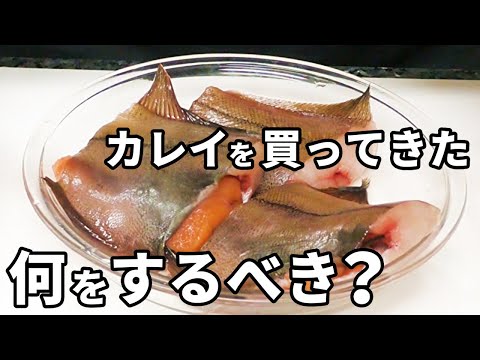 カレイの下準備・下処理のポイントを解説！煮つけの成功・失敗を大きく左右します！