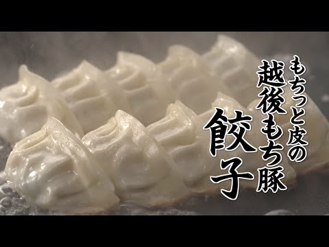 【ウオロク品質】もちっと皮の越後もち豚餃子