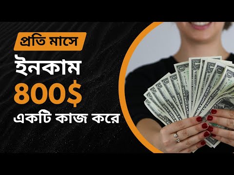 ফেসবুক অ্যাডস এর কাজ করে প্রতি মাসে $800 ডলার ইনকাম একজন ক্লায়েন্ট থেকে!