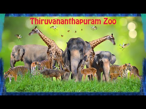 Thiruvananthapuram Zoo | Rare sightings | Animals |