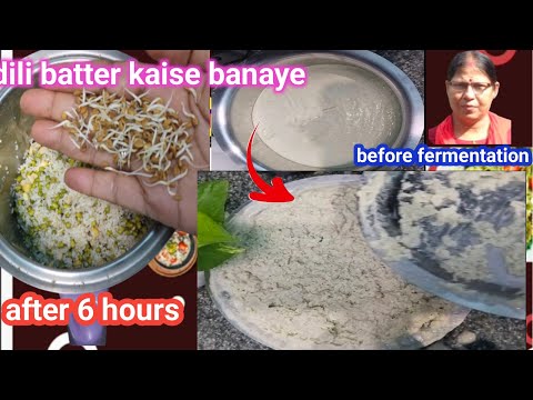 little millet and green moong Idli batter Recipe, idli batter proportion, Homemade Idli Dosa Batter