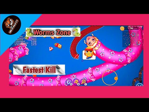 WORMS ZONE.IO |Worms Zone Fastest Kill | Worm Zone New Snek Skin | MR Prince77