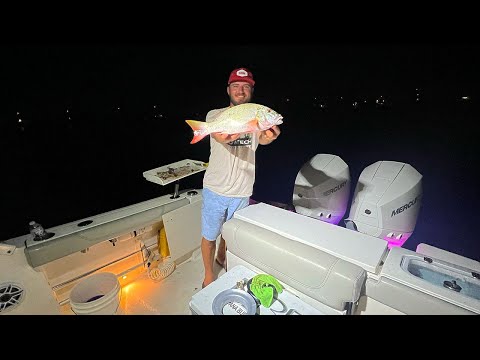 Fishing For MUTTON Snapper At NIGHT {Catch Clean Cook} FISH TEA