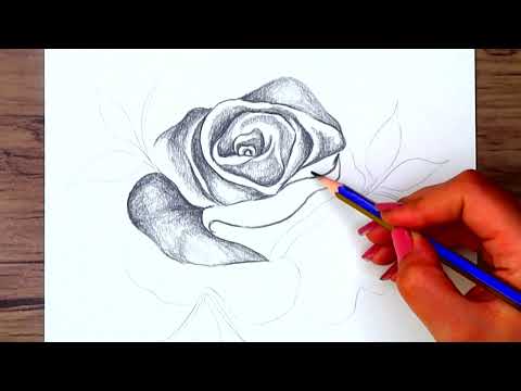 You Won't Believe How Easy It Is to Draw a Realistic Rose with Pencil!