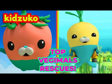 @Octonauts -  ⛑️ Saved by the Vegimals! 🥕 | Spectacular Land and Sea Rescues Compilation | Kidzuko​