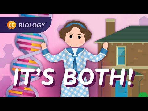 Genetic Traits: Nature? Nurture? Not That Simple: Crash Course Biology #32