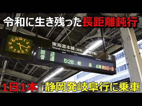 【4時間21分】静岡駅から１本だけ出ている長距離鈍行に全区間乗るとこうなります