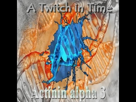 A Twitch in Time - Sapien Medicine