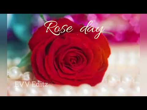 ROSE DAY special whatsapp status#4 2021 in  engaveetuvaayaadi YouTube channel Happy Valentine's Day