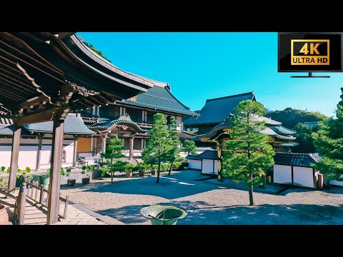 [4K] Kamakura, Japan - Day Walk to Beautiful Gardens