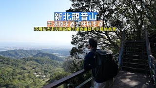 新北觀音山周邊親子級牛港稜及林梢步道，不用花費太多力氣就可以享有無敵視野與美景