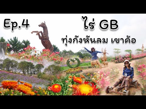 เดินเที่ยวชมสวนดอกไม้เมืองหนาว ณ ไร่GB ทุ่งกังหันลม ทานอาหารเพื่อสุขภาพ (ครัวปันสุข) เขาค้อ ...