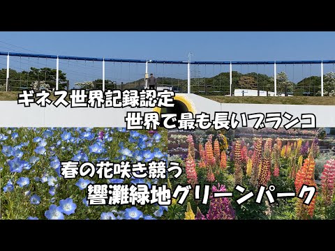 【ひろじぃの気まま旅】世界一長いブランコってどんなもの？　ネモフィラなど春の花が咲き競う北九州一の公園　間も無くバラが咲き揃う　響灘緑地グリーンパーク