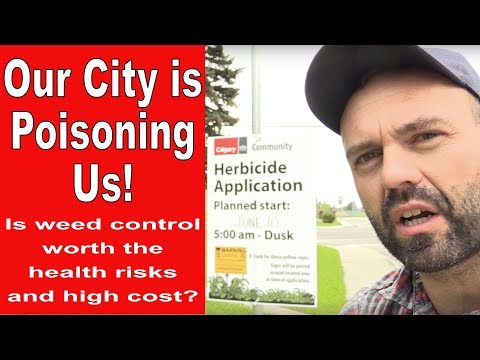 How Our City Is Poisoning Us Through Our Desire To Eradicate Weeds