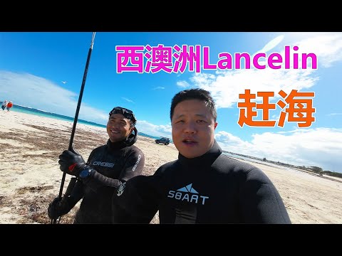 西澳大利亚Lancelin赶海！