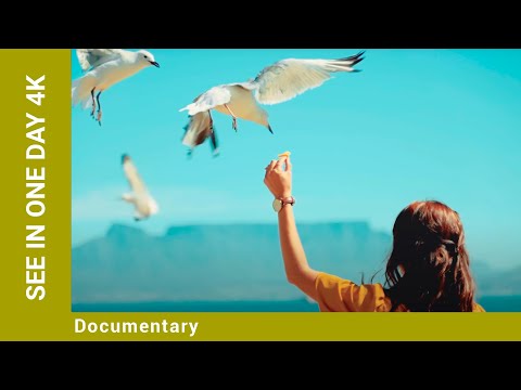 SEE IN ONE DAY 4K. Russian Movie. Documentary. English Dubbing