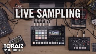 TORAIZ SP-16 Tutorials: Live Sampling