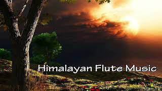 Morning Himalayan Flute | Spa , Relaxing, Sleep ,Study flute music