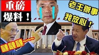 王岐山出任中國國家副主席，長袖善舞成先天優勢