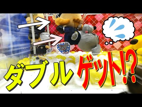 【UFOキャッチャー】500円チャレンジ！ジェネ犬狙ったらまさかのダブルゲットか！？　【確率機】【クレーンゲーム】(Japanese claw machine)