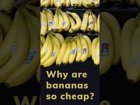 Why are bananas so cheap? 🍌