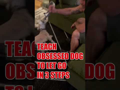 MAGIC DOG TRAINING METHODS