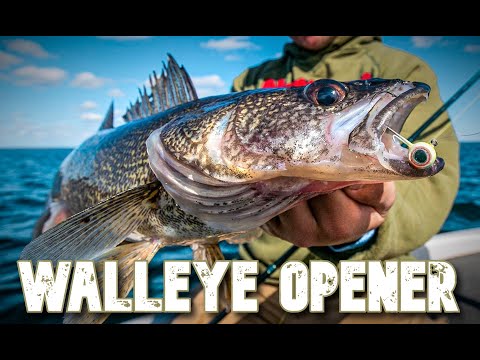 Best MN Walleye Opener Tips & Advice (2023)