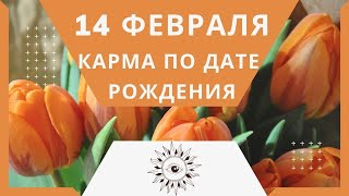 14 февраля - Карма по дате рождения