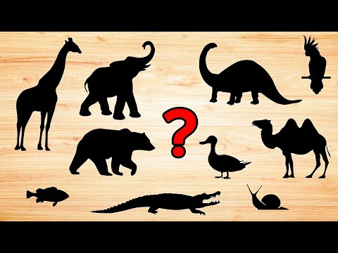 Find & Guess the Animal Game | Pretend Play with Paw Patrol Toys | Preschool Toddler Learning Video